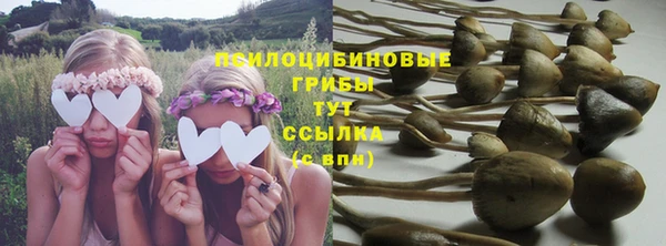 спайс Магадан