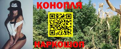 тгк Гусев