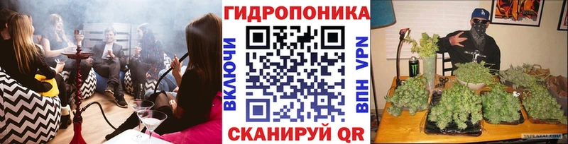 купить закладку  Нефтекумск  Бошки марихуана Bruce Banner 